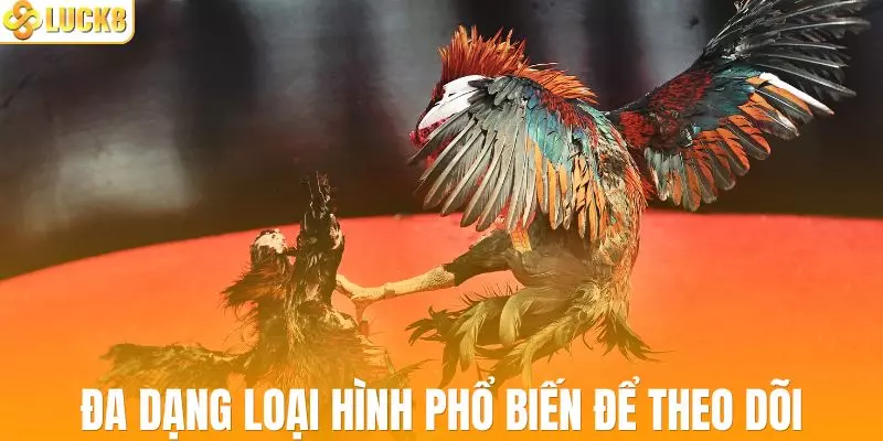 Đa dạng loại hình phổ biến để bạn theo dõi trận đấu