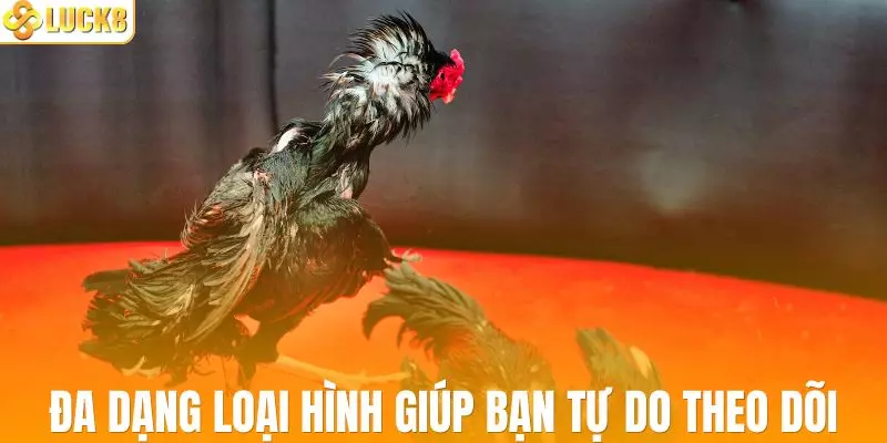 Đa dạng loại hình thi đấu giúp bạn tự do theo dõi