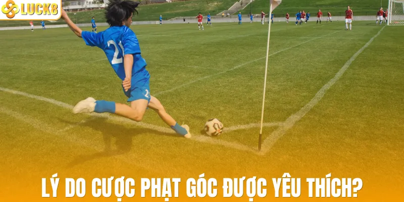 Lý do cược phạt góc được yêu thích?