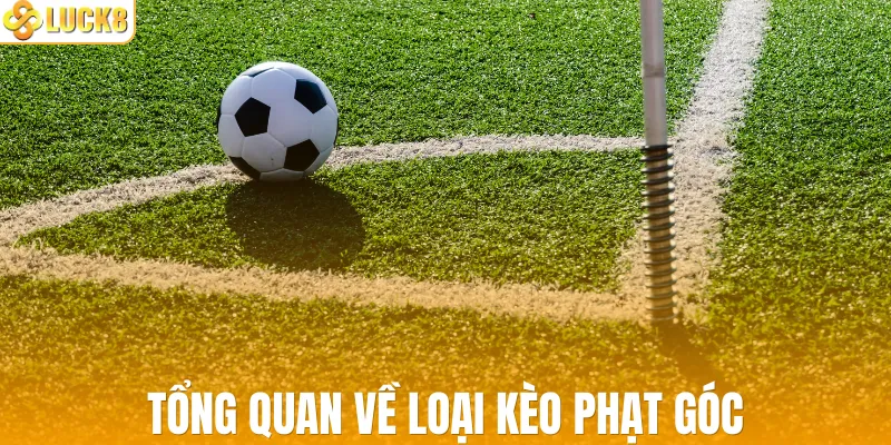 Tổng quan về loại kèo phạt góc