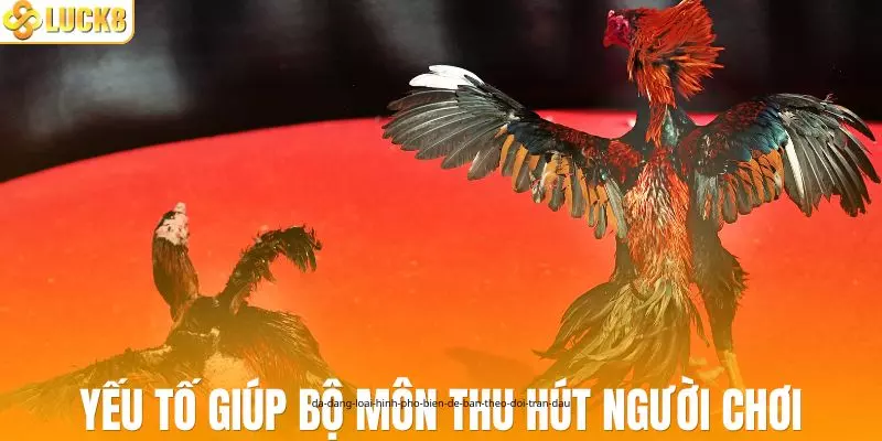 Yếu tố quan trọng giúp bộ môn thu hút nhiều người chơi